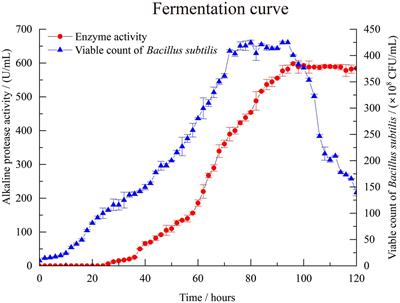 The fermentation optimization for alkaline protease production by Bacillus subtilis BS-QR-052